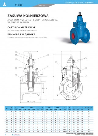 Cast iron gate valve 111UG to DN300