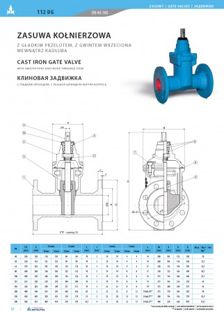 Cast iron gate valve 112UG